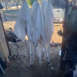 Se Venden Sonvras  A 70 Cadauna