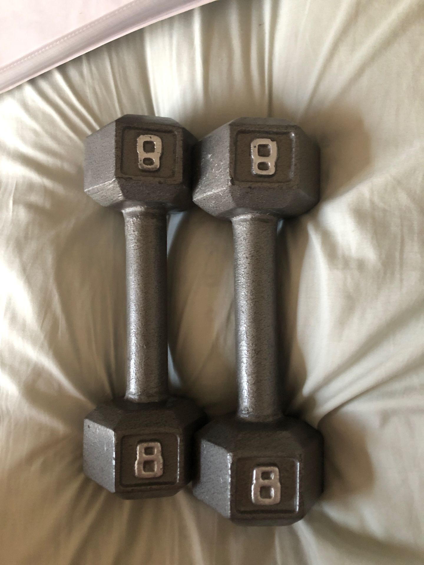 8 pound metal weights