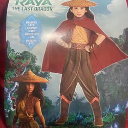 Raya Costume Size 8-10 With hat