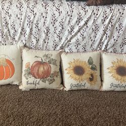 Decorative Pillows 