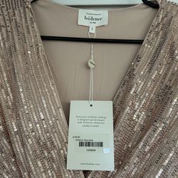 Bohme Champagne Sequined Dress New With Tags Size Small