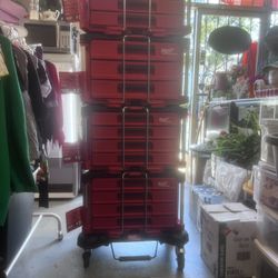 Milwaukee Packout Modular Tool Storage System