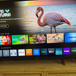 Vizio 47” Flat screen 1080p