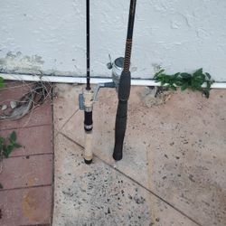 2 Fishing Poles And 1 Reel 