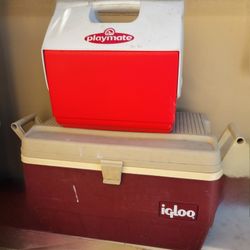 Igloo Coolers