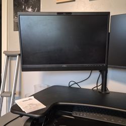 Video monitor and reg monitor