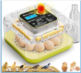 Electric Egg Hatcher