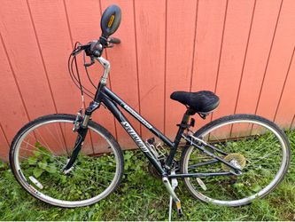 Especializada expedition bike