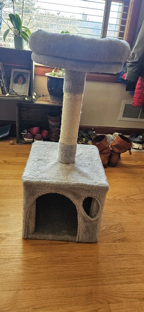 Cat Scrating Post