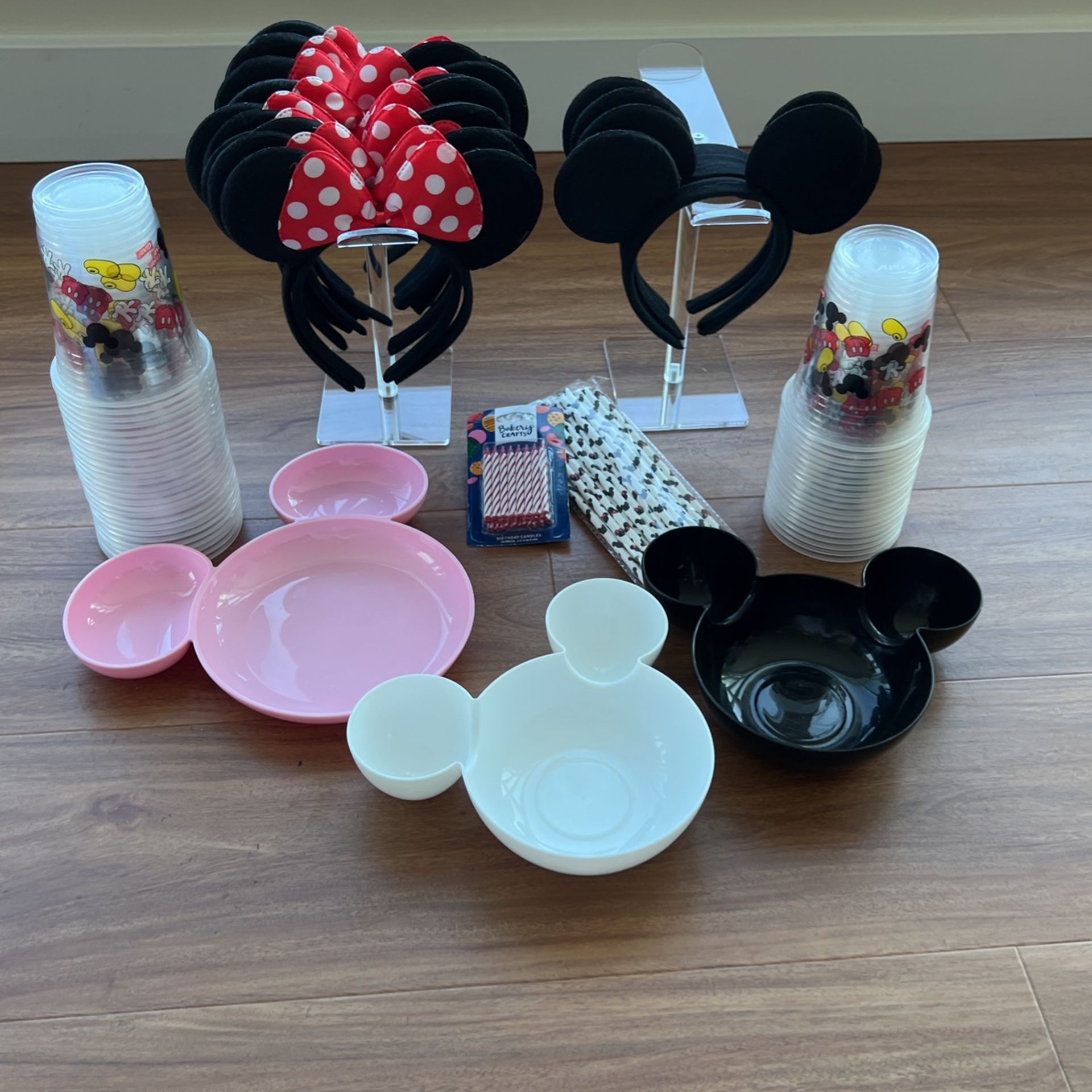 Minnie and Mickey Mouse Birthday Bundle