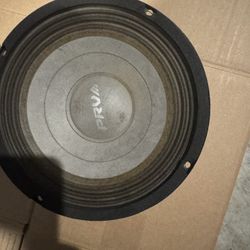 PRV Marine 8inch  Speakers