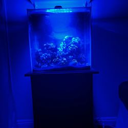 35 Gallon Cube Fish Tank With Stand 