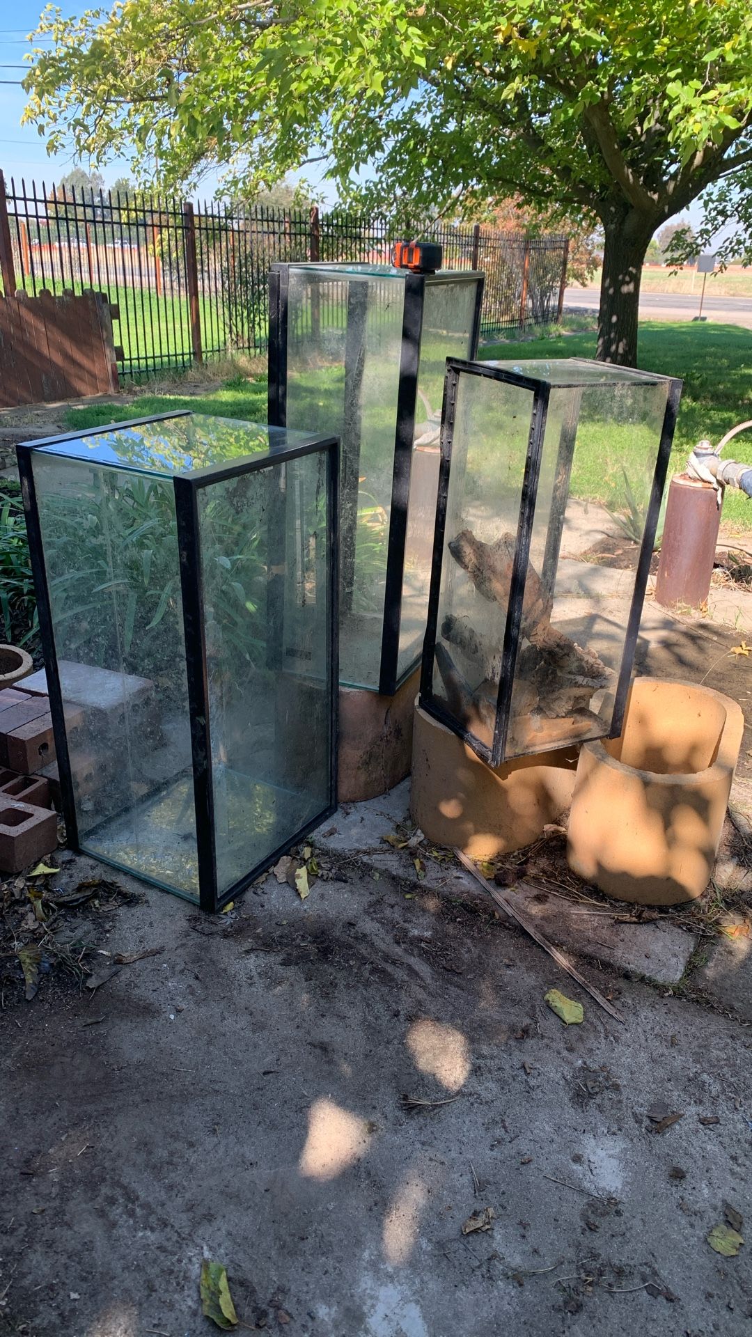 Terrariums, Aquariums. Three In Total