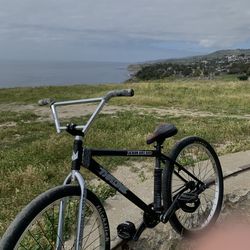 Throne 29er Black Shadow