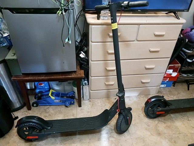 2 Electric Bird Scooters Good Condition