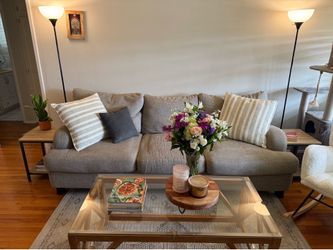 FREE gray sofa couch