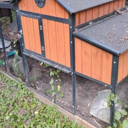 Chicken Coops. (2) 175.00 