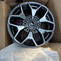 Ford Bronco Rims