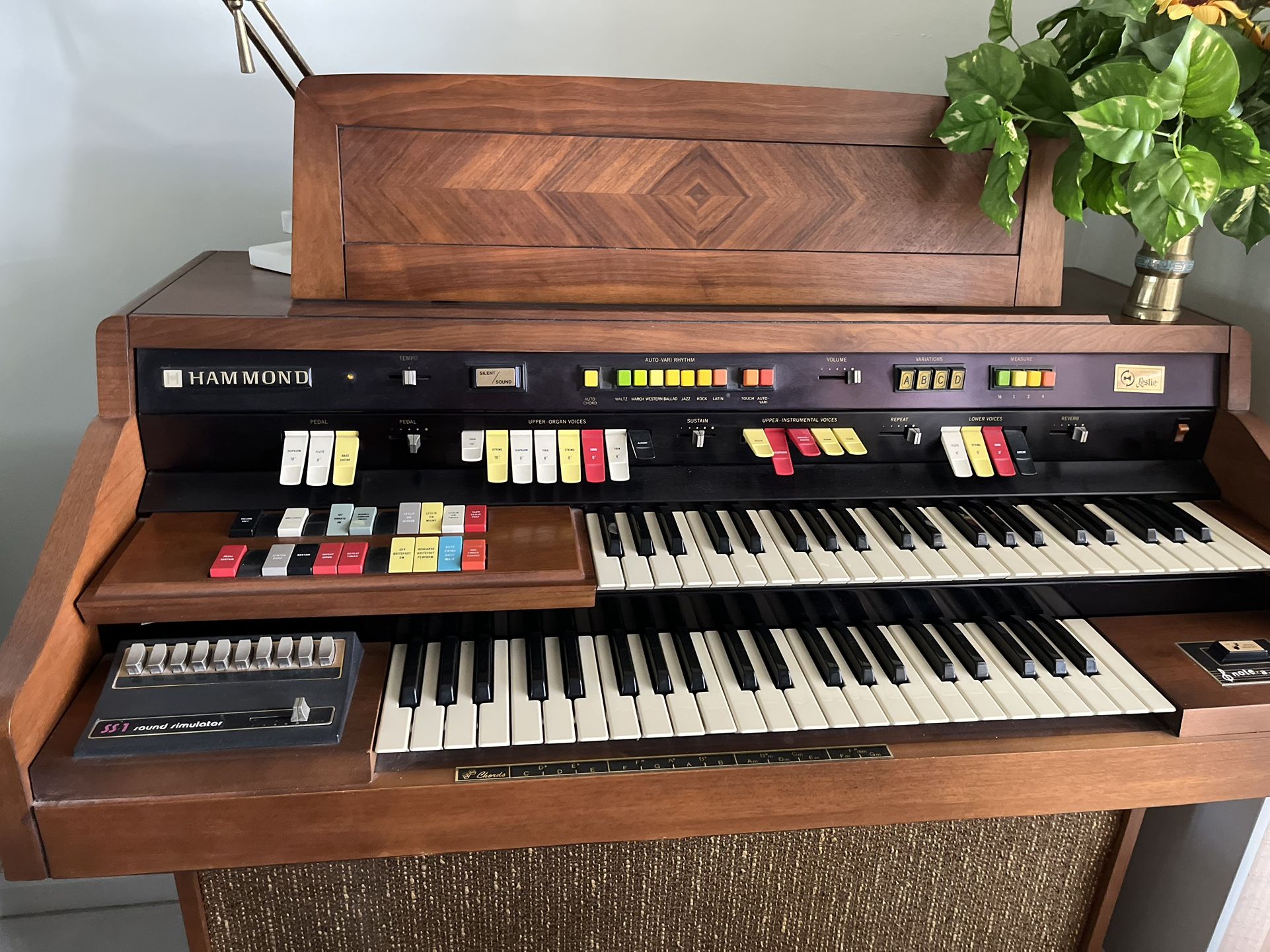 Free Hammond Organ