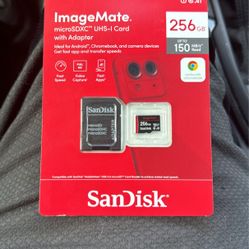 Memory Card 256GB
