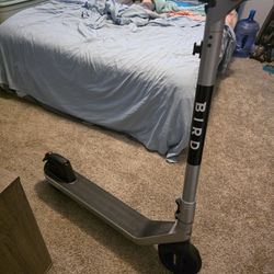 Bird Scooter For Sale