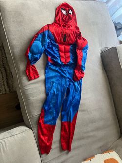 Spiderman costume