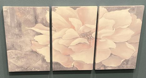 Large 3 Piece Canvas Set 