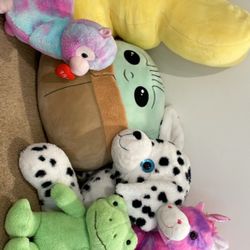 Stuffed Animal 