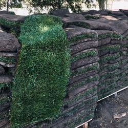 Sod     Grass  $2 per sq / ft