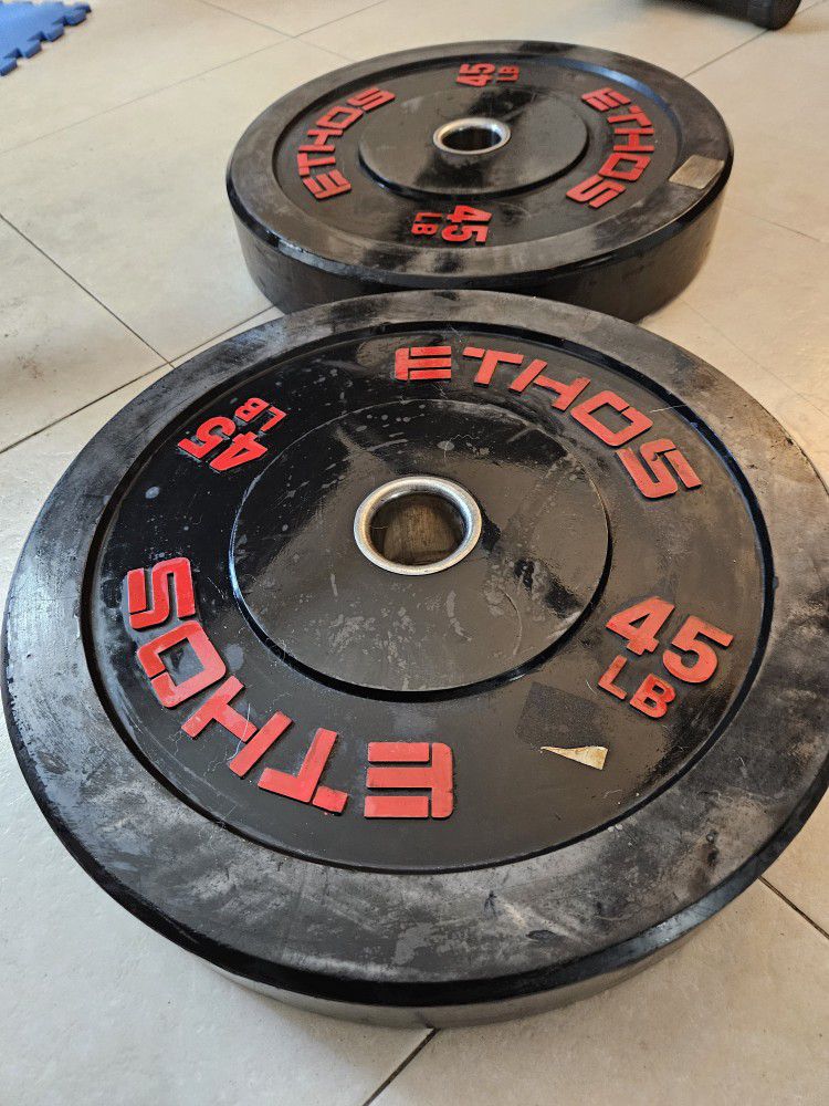 PAIR of Two 45 lb ETHOS Bumper Plates (Total 90 lbs) - HARDLY USED 