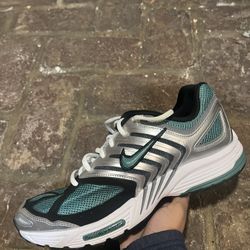 Nike Pegasus Size 11