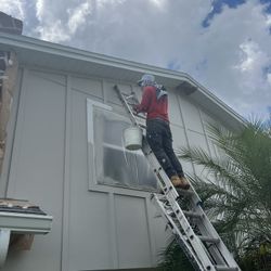 Ops paint 10 Gals
