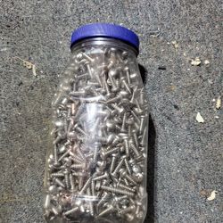 Sheet Metal Screws -stainless Steel 