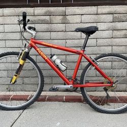 1996 Klein Mountain Bike