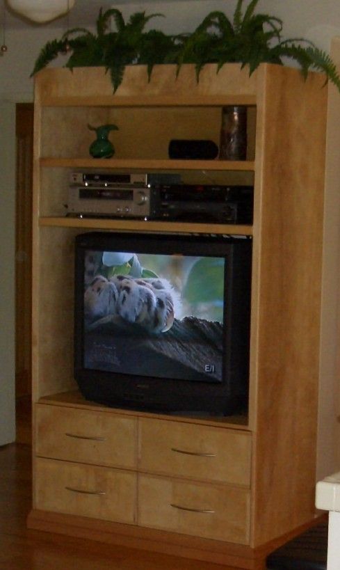 Custom entertainment Unit