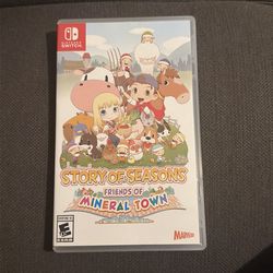 Story Of Seasons friends of mineral town Nintendo switch game
