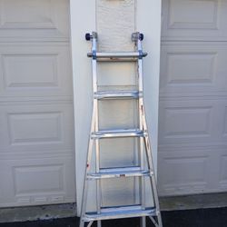 Warner Multipurpose  15 Ft Ladder 