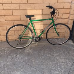 Road Crusing Bike