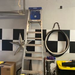 Ladder 8 Ft Aluminum In Plantation 