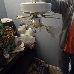 Ceiling Fan Light Combo !!!Never Used!!!!