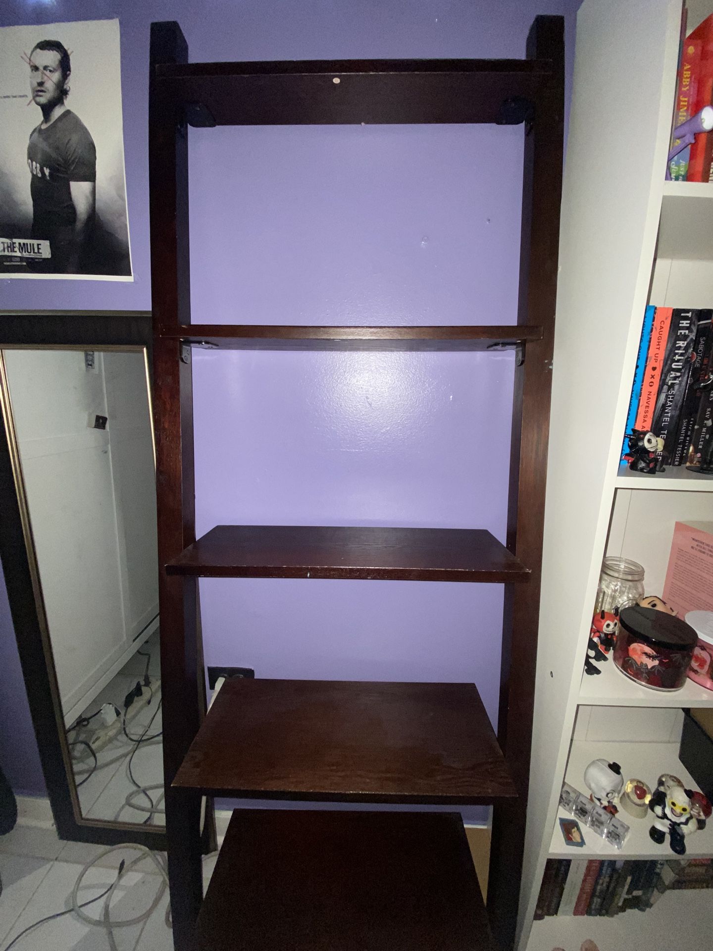 Ladder Shelf