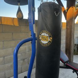Everlast Punching Bag And Speed Bag Set