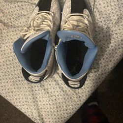 9.5 Jordan Dub Zeros 