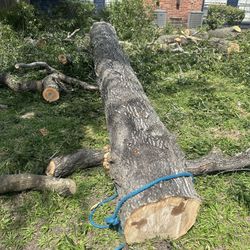 Jaime Rubio Landscaping 