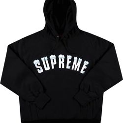 Supreme Icy Arch Hoodie 