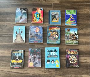 Lot of 12 Children's Chapter Books