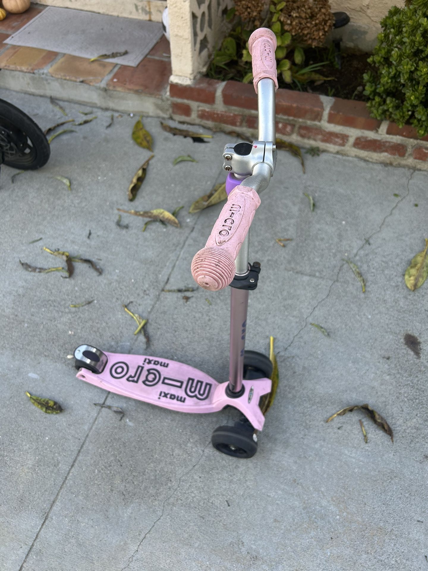 Free Micro Maxi Scooter