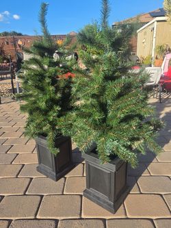 Artificial Pine Trees in Black Planters – Set of 2