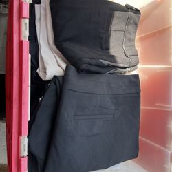Woman’s Dress Up Pants 
