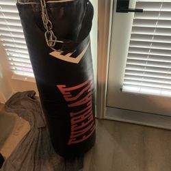 Punching Bag